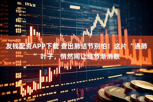 友钱配资APP下载 查出肺结节别怕！这片 “通肺” 叶子，悄然间让结节渐消散