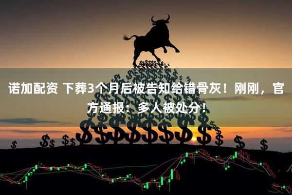诺加配资 下葬3个月后被告知给错骨灰！刚刚，官方通报：多人被处分！